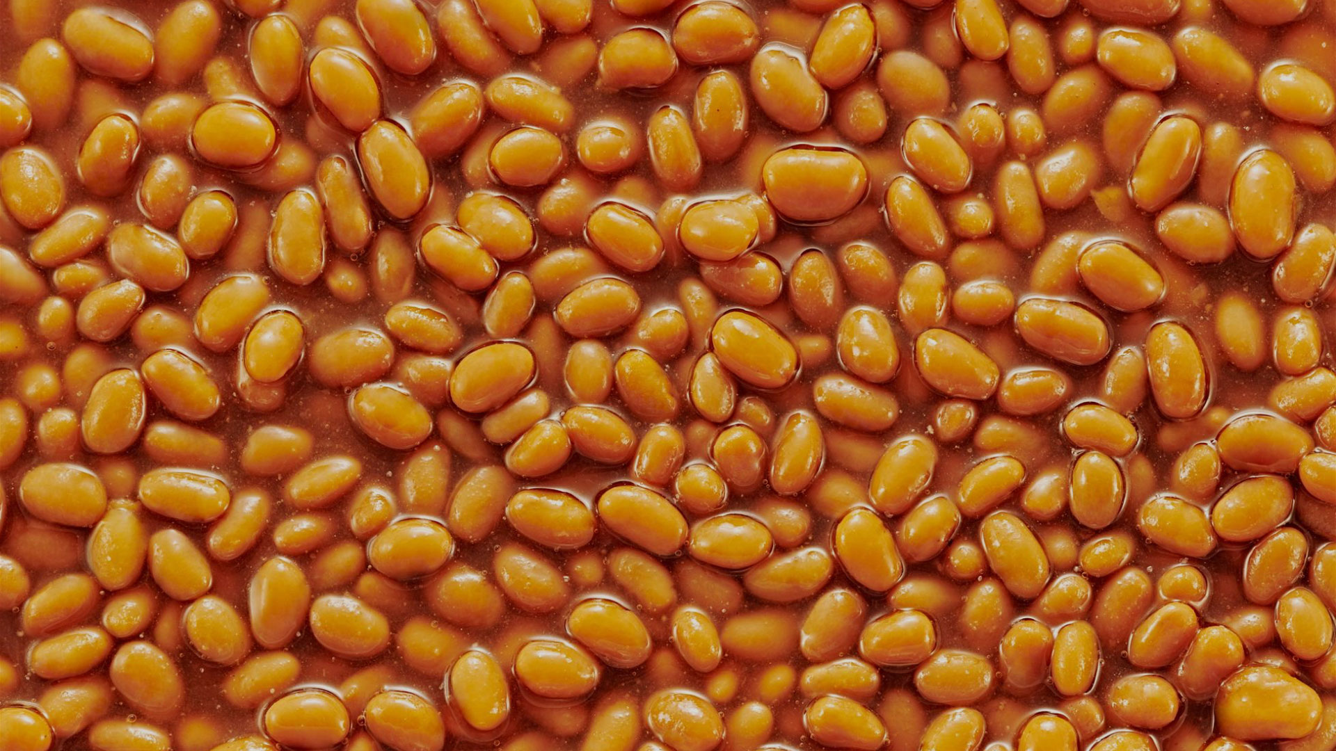 Introducing...Bean Song | BUSH&#39;S® Beans