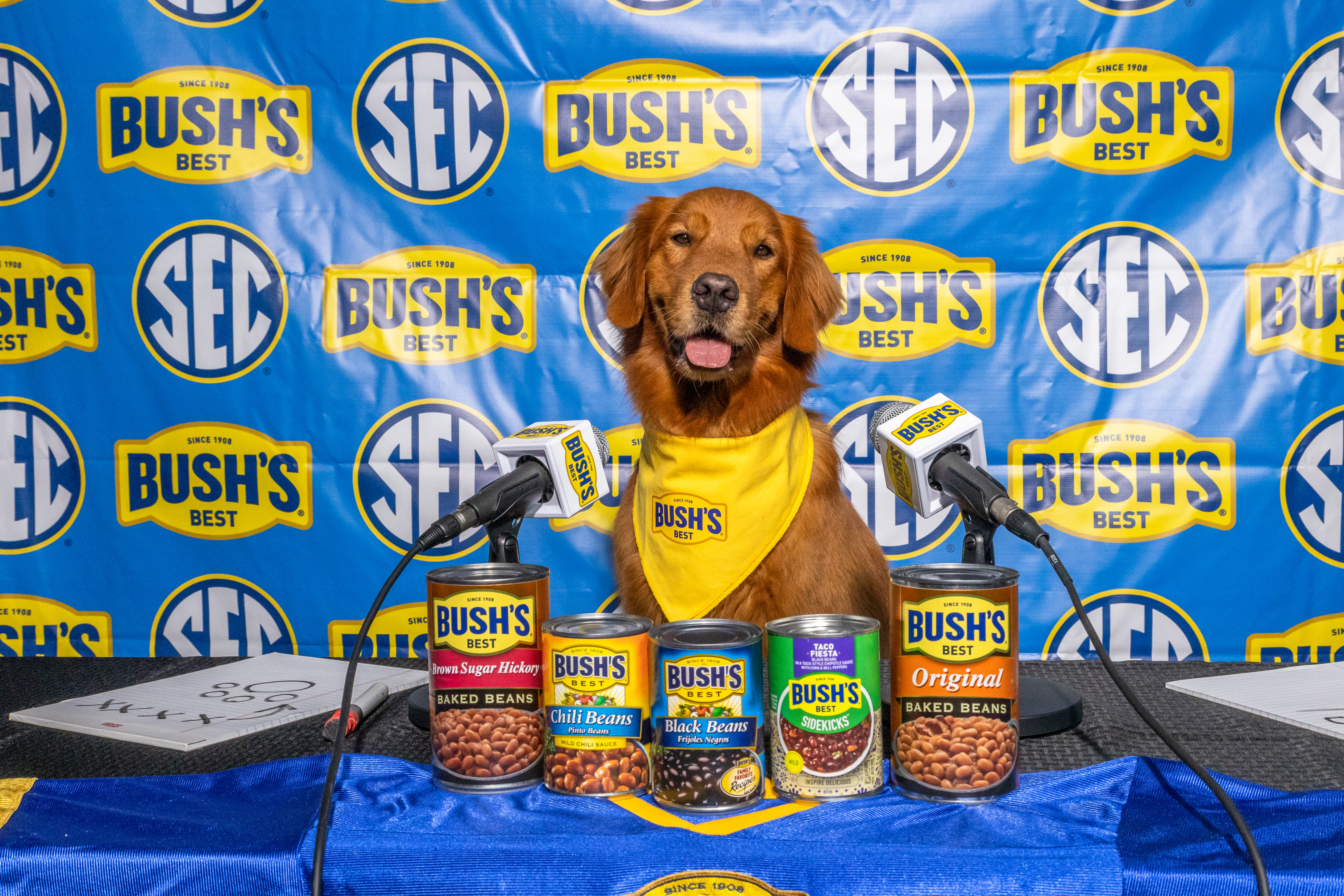 Duke at a podium with Bush's beans cans in front and the Bush's/SEC banner behind. 