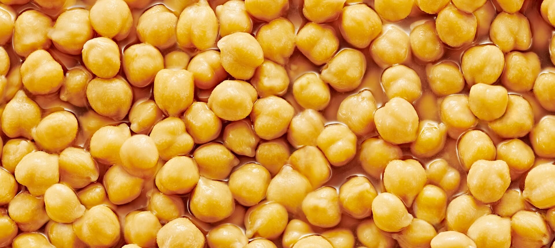 Chick Peas vs. Garbanzo Beans The Great Debate BUSH’S® Beans