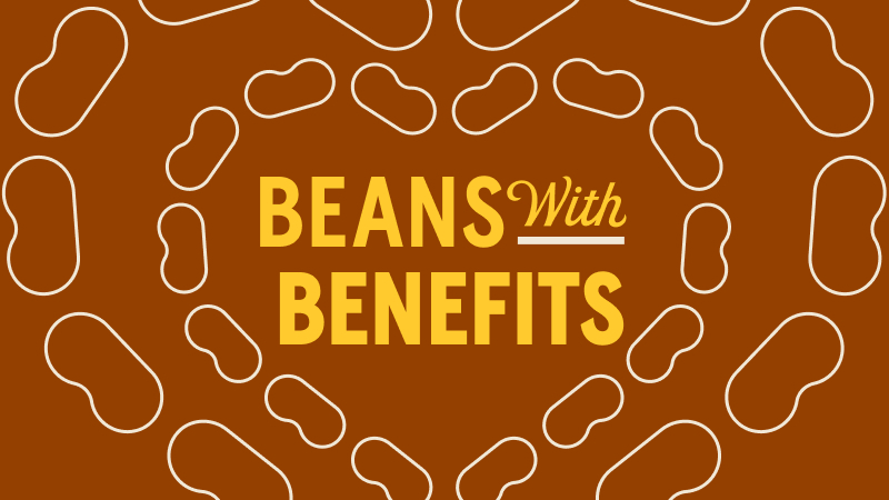 White Beans 101: A Friendly Guide to These Versatile Beauties | BUSH’S ...