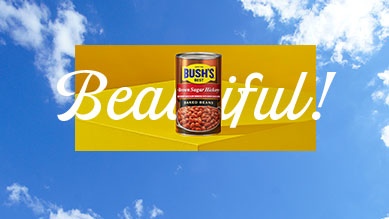 https://www.bushbeans.com/-/media/BushsBeans/MegaMenu/02_Beautiful_389x219.jpg?sc_lang=en