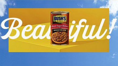 That Beautiful Bean Co.